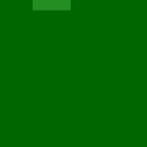 17.webp
