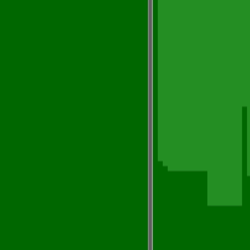 17.webp