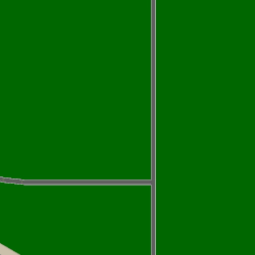 19.webp