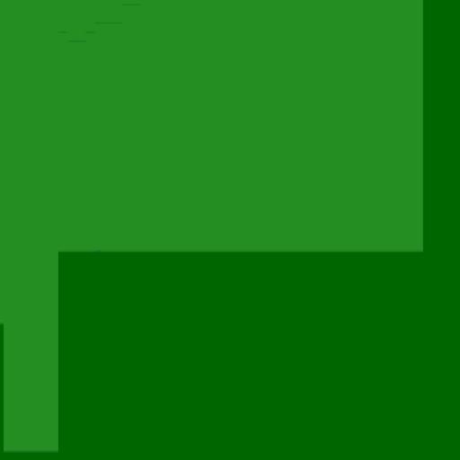 17.webp