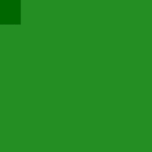 31.webp