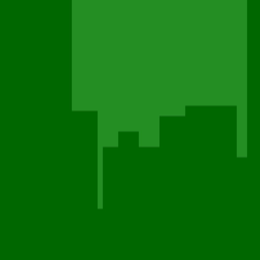 17.webp