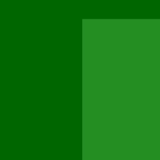 18.webp