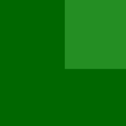 19.webp