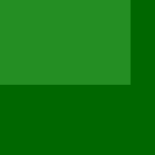 19.webp