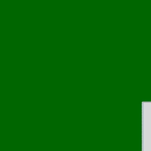16.webp