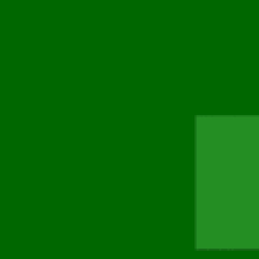 44.webp