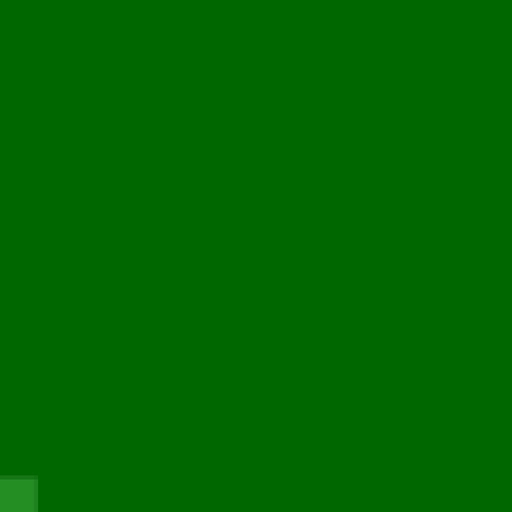 51.webp