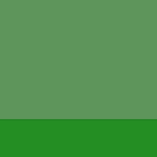 76.webp