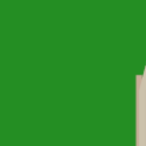 77.webp