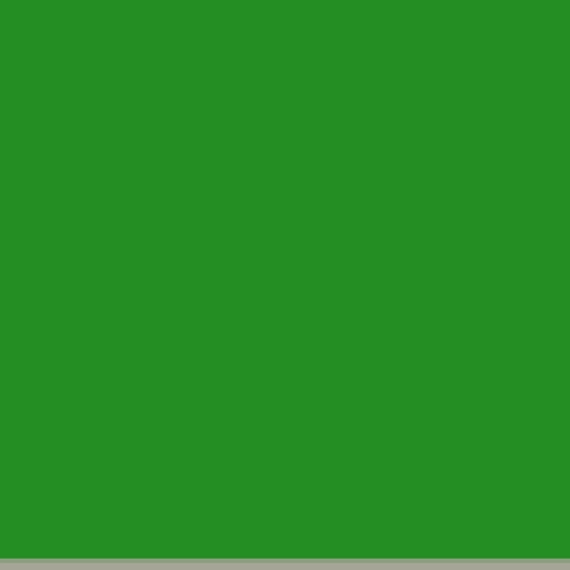 70.webp