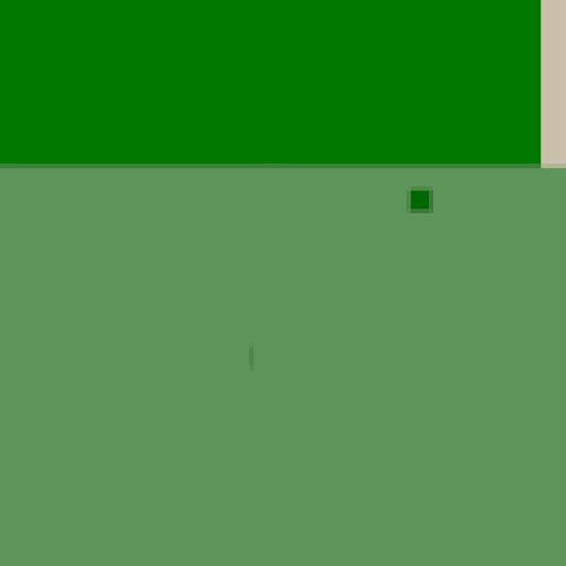 26.webp