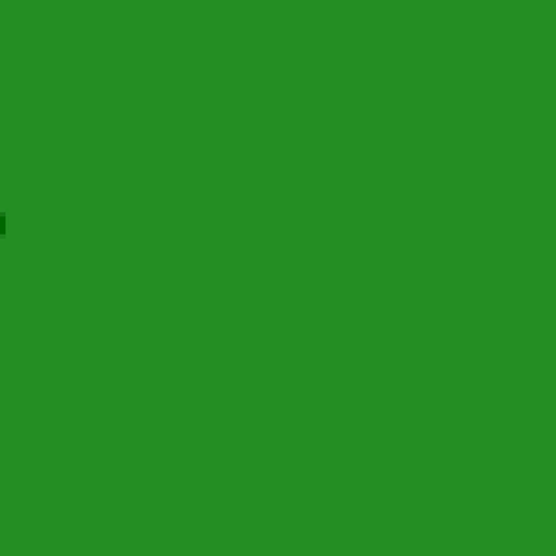 51.webp