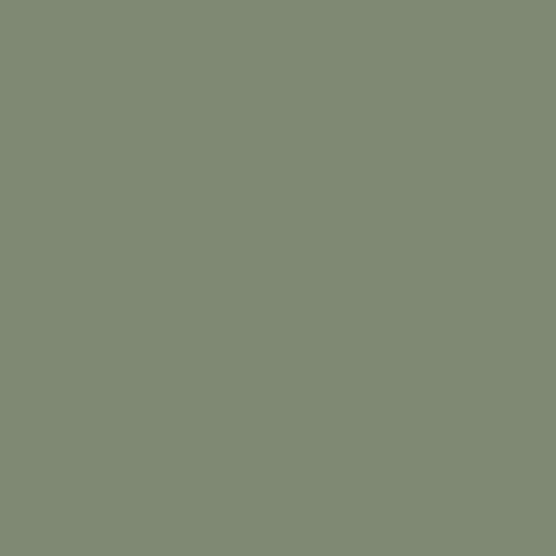 81.webp