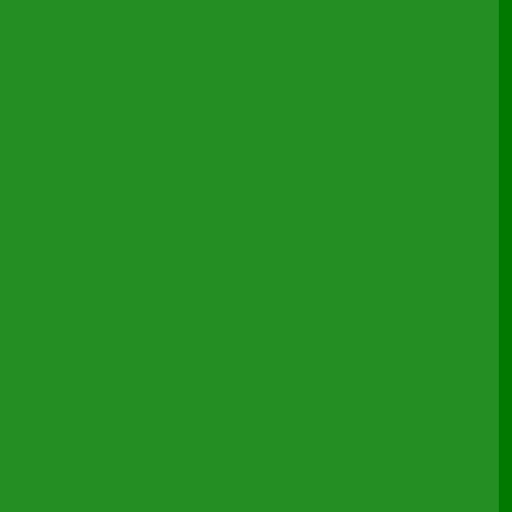 43.webp