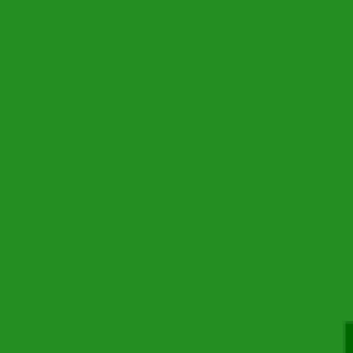 69.webp