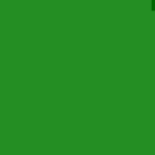 70.webp