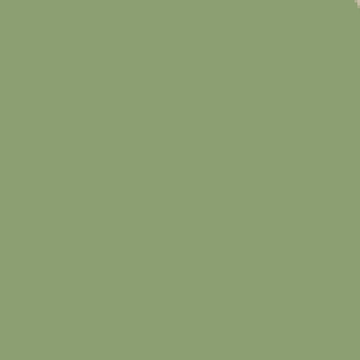 53.webp