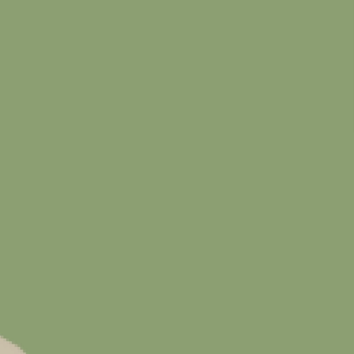 55.webp