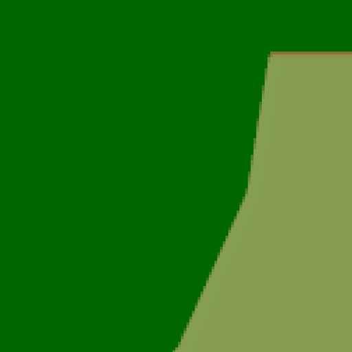 41.webp