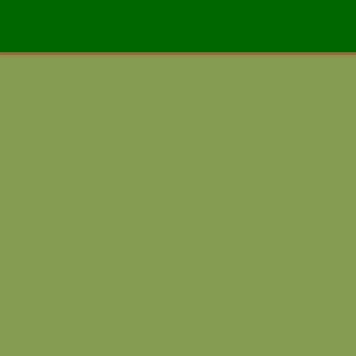 41.webp