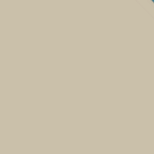 40.webp