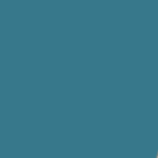 79.webp