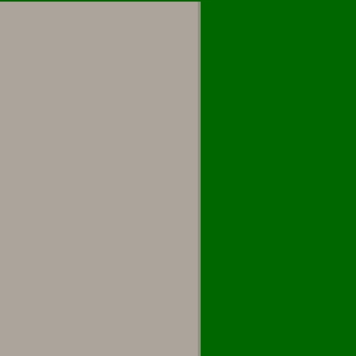 55.webp