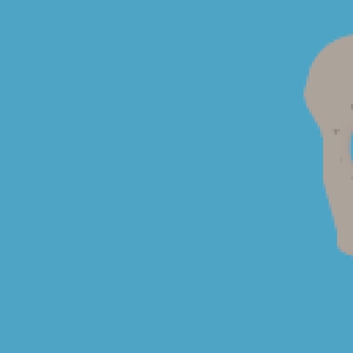 66.webp
