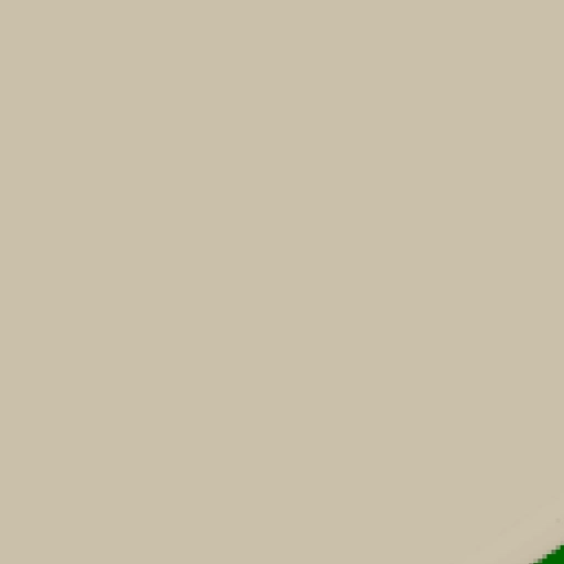 45.webp