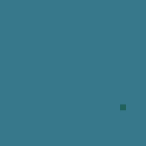 45.webp