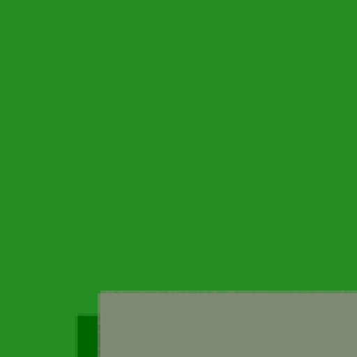 62.webp