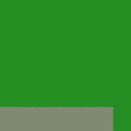 62.webp