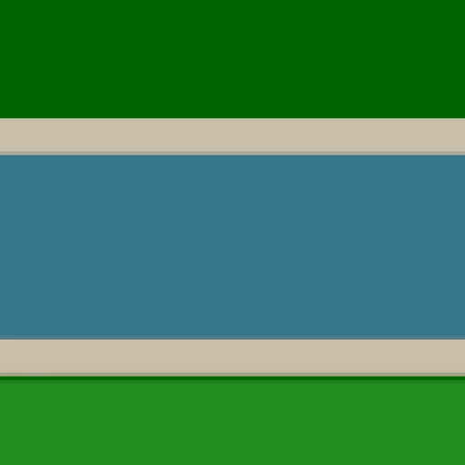 29.webp