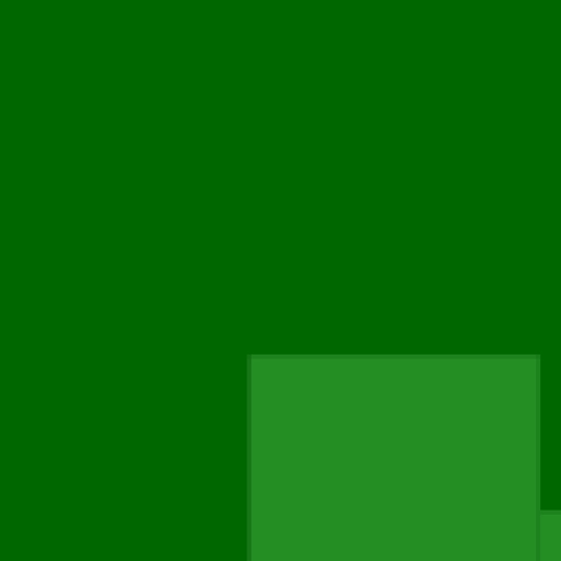 32.webp