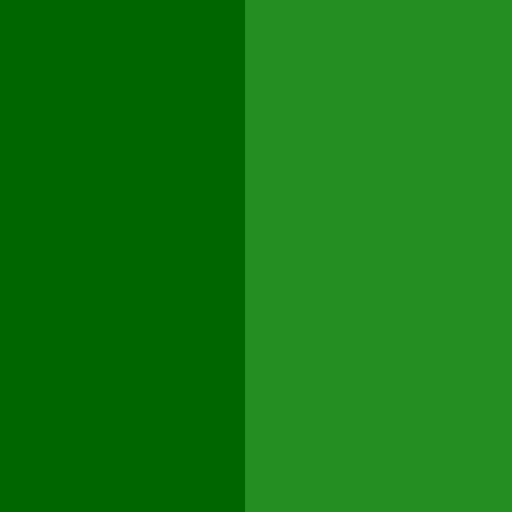 31.webp