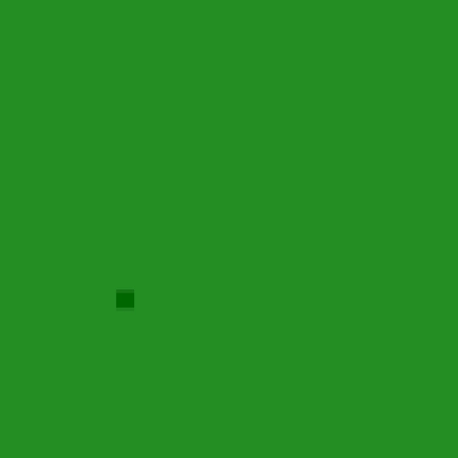 32.webp