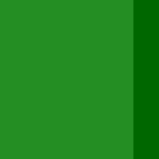 34.webp