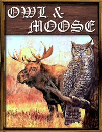 owlnmoose.jpg