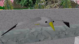 flint.jpg
