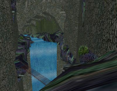 ilexuscaves1.jpg