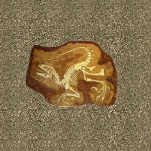 mansionfossil.jpg