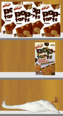 shelf2.jpg