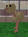 emu.jpg