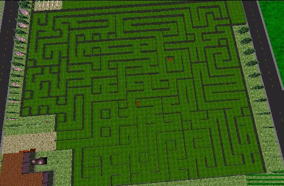 gardenmaze.jpg