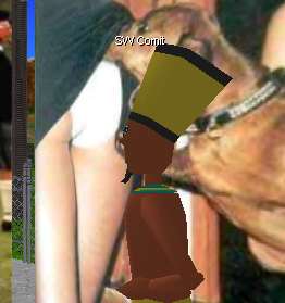 swcomitbutt.jpg