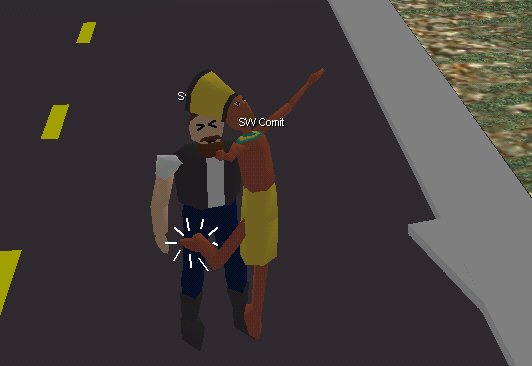 swcomitkick.jpg
