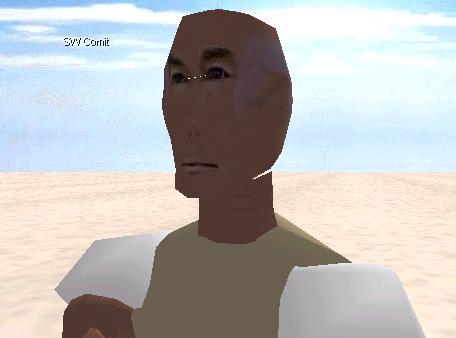 swcomitold.jpg