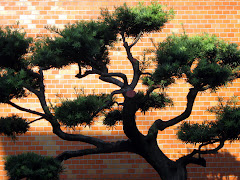 treeonbrick.jpg