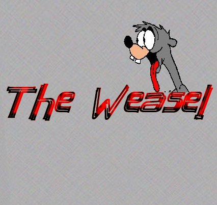 weasel.jpg